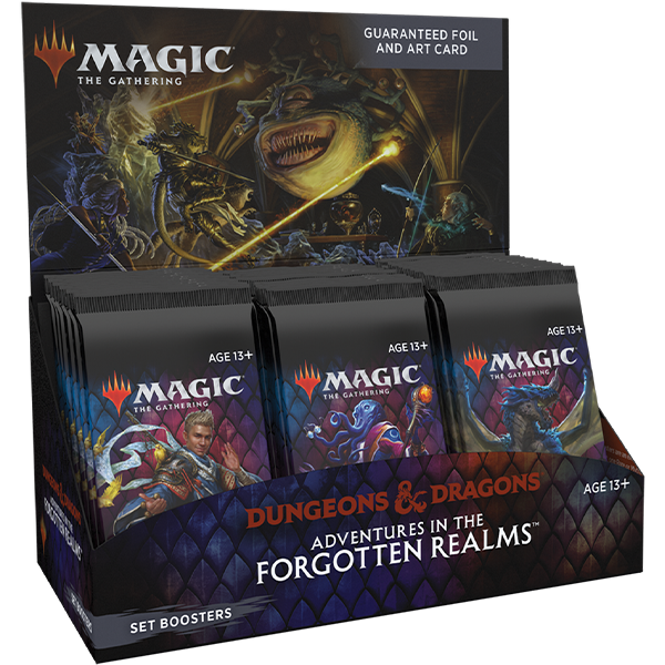 Magic The Gathering Adventures in The Forgotten Realms Set Booster Box